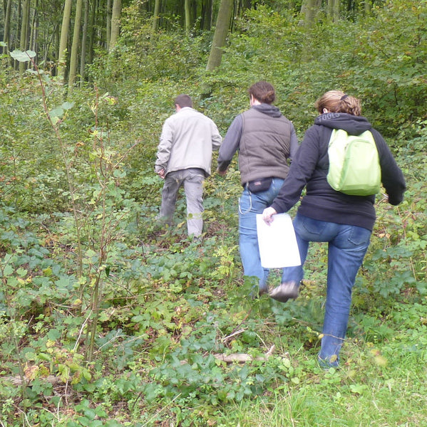 Forest Scavenger Hunt – a strategy game