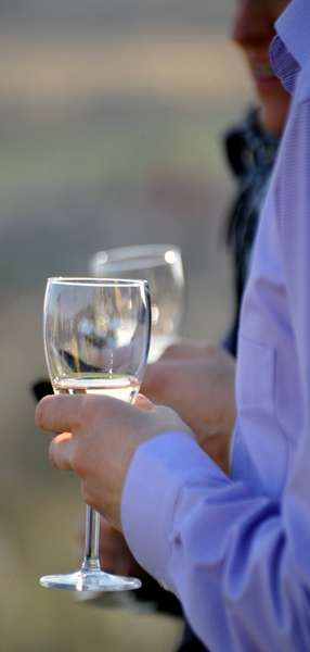 Cellar Rally - Orientation, competition, exploration in historical wine regions