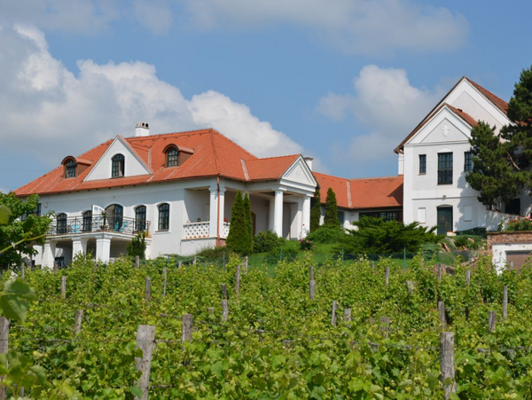 Cellar Rally - Orientation, competition, exploration in historical wine regions