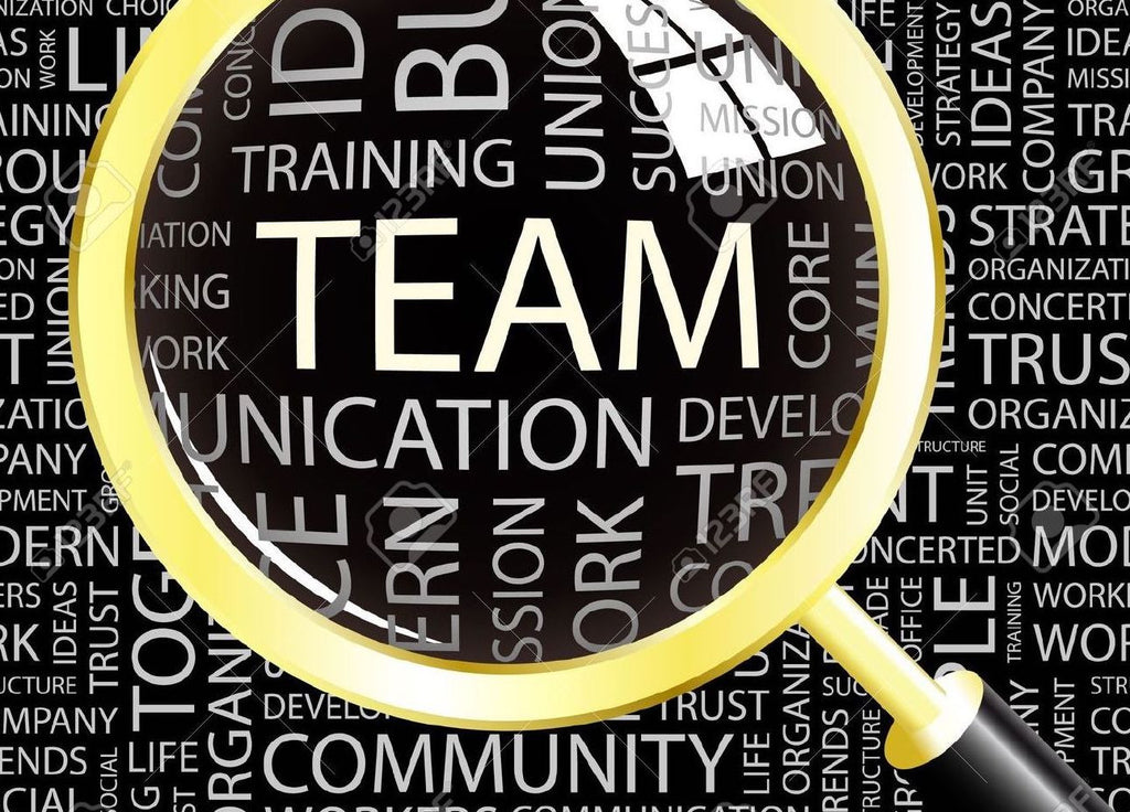 Team Feedback Questionnaire