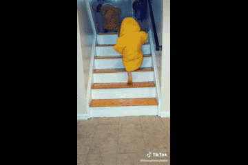 Quarantine creative