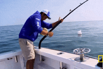 Tuna Battles
