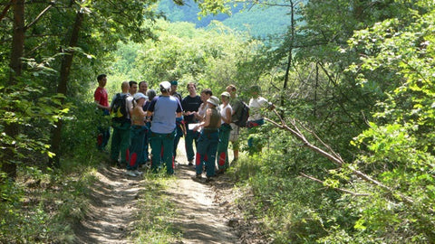 Evacuation - complex forest game