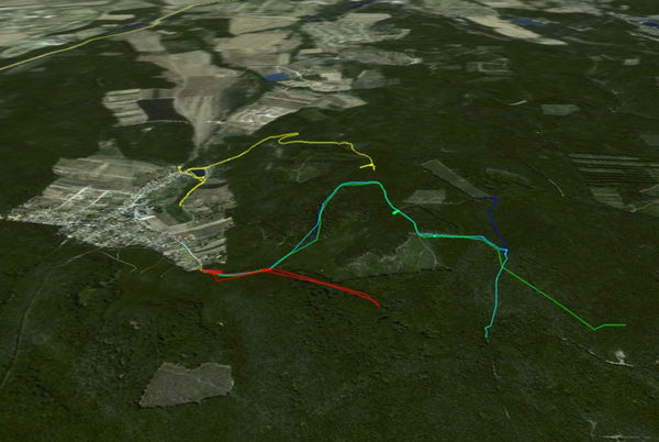 Evacuation - complex forest game